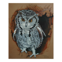 Screech Owl Art Poster posters