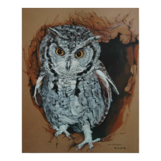 Screech Owl Art Poster