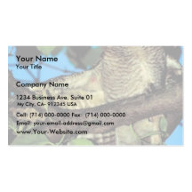 Screech owl business card templates