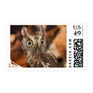 noise postage sts zazzle noise postage sts zazzle