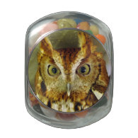 Screech Owl Eyes Glass Candy Jars