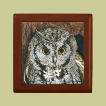 Screech Owl Gift Box gift boxes