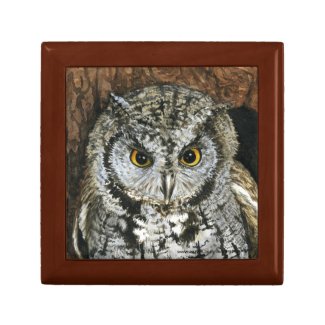 Screech Owl Gift Box