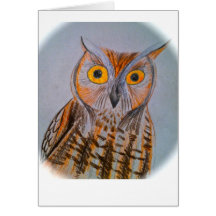 Screech owl greeting cards