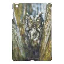 Screech Owl iPad Mini Case