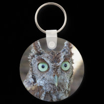 Screech Owl keychains