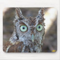 Screech Owl mousepads by Envelope150 Screech Owl mousepads