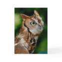 Screech Owl Notecard