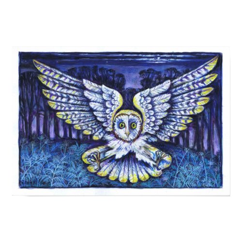 Screech Owl Print print