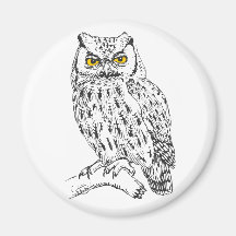 Screech Owl Refrigerator Magnets