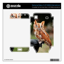 Screech Owl Samsung Galaxy S II skin