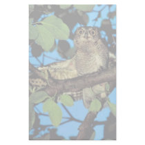 Screech owl stationery