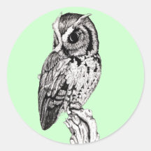 Screech Owl Sticker