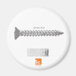 Screw It Magnet