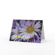 Scripture Card --Purple Daisies Get Well Soon Card by cherylarogers Scripture Card --Purple Daisies Get Well Soon Card