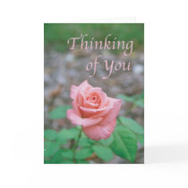 Scripture card -- "Thinking of you" with rose