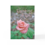 Scripture card -- "Thinking of you" with rose