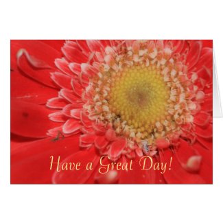 Scripture John 8:36 Card card