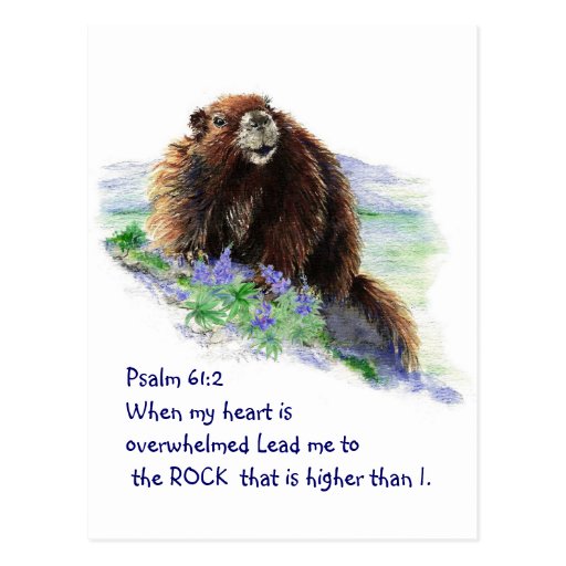 Scripture Psalm 61:2 Encouraging Watercolor Animal Postcard | Zazzle