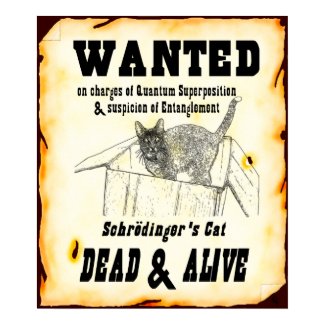 Scrodinger's Cat 