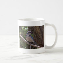 Scrub Jay Coffee Mug