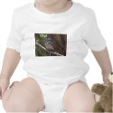 Scrub Jay t-shirts