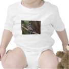 infant_creeper - Scrub Jay infant_creeper - Scrub Jay
