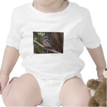 Scrub Jay t-shirts by crystalreddell Scrub Jay t-shirts