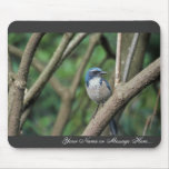 Scrub Jay, Western Mouse Pad