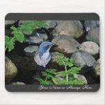 Scrub Jay, Western Mousepad