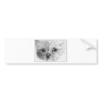 Scruffy bumper stickers