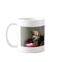 SCRUFFY DOG! mugs