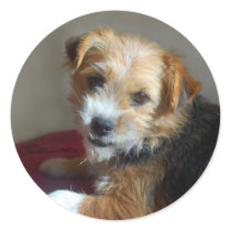 SCRUFFY DOG! stickers by Squealia SCRUFFY DOG! stickers