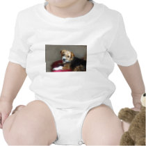 SCRUFFY DOG! t-shirts