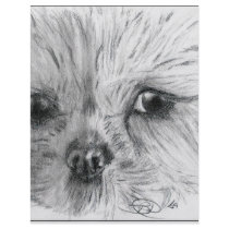 Scruffy Personalized Flyer