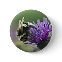 Scruffy Old Bee Flower button pin