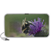 Scruffy Old Bee portable Doodle Speaker speakers