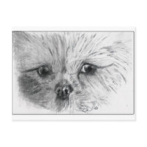 Scruffy postcards