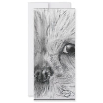 Scruffy rack cards by bdoodles Scruffy rack cards