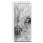 Scruffy Rack Cards