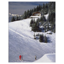 Scu, Austria Flyers