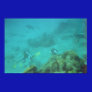 Scuba Diver Dream