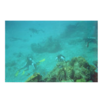 Scuba Diver Dream posters by lapatrick1161 Scuba Diver Dream posters