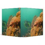 scuba diver & Scorpionfish Scorpanopsis binders