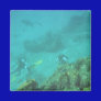 Scuba Divers Dream Magnet