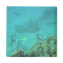 Scuba Divers Dream Magnet by lapatrick1161 Scuba Divers Dream Magnet
