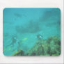 Scuba Divers Dream Mousepad