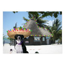 Scuba Dog "Diversity" Trade Card Business Card Templates