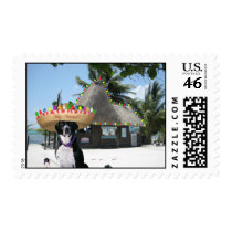 Scuba Dog's Mexican Christmas Postage postage by FCM_Christmas Scuba Dog's Mexican Christmas Postage postage