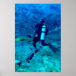 Scuba Pro Poster